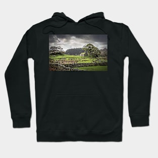 Country Barn in Green Fields with Stone Walls Hoodie